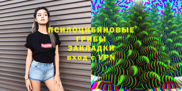 ECSTASY Ессентукская