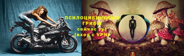 сатива Лагань