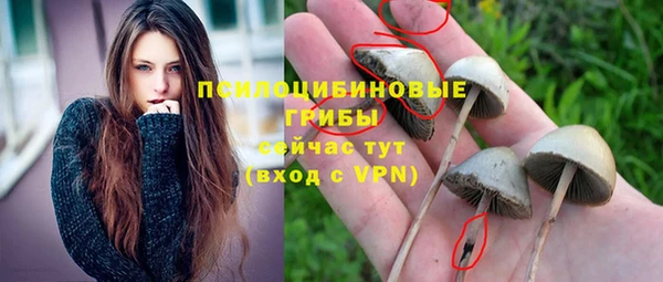 прущая мука Кукмор