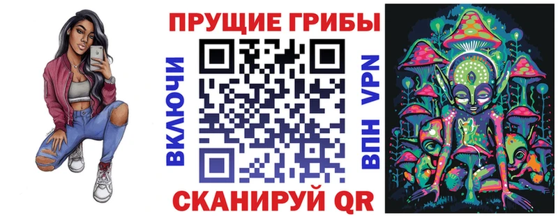 купить   Иваново  Псилоцибиновые грибы Cubensis 