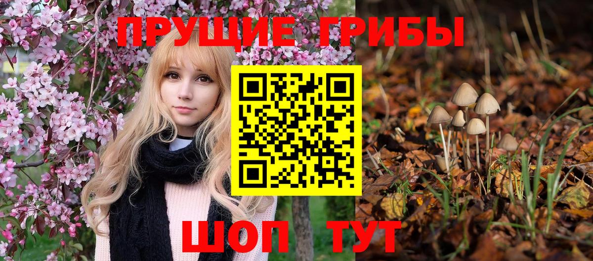 Иваново  где купить наркоту  Вход с VPN  Псилоцибиновые грибы мицелий 