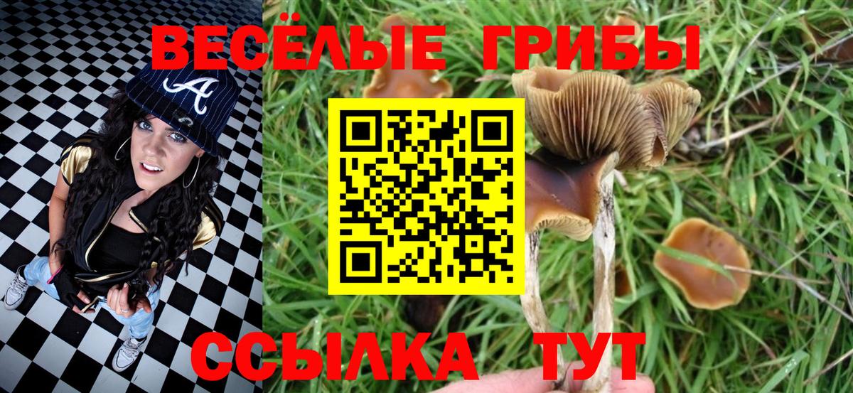 Псилоцибиновые грибы MAGIC MUSHROOMS Иваново